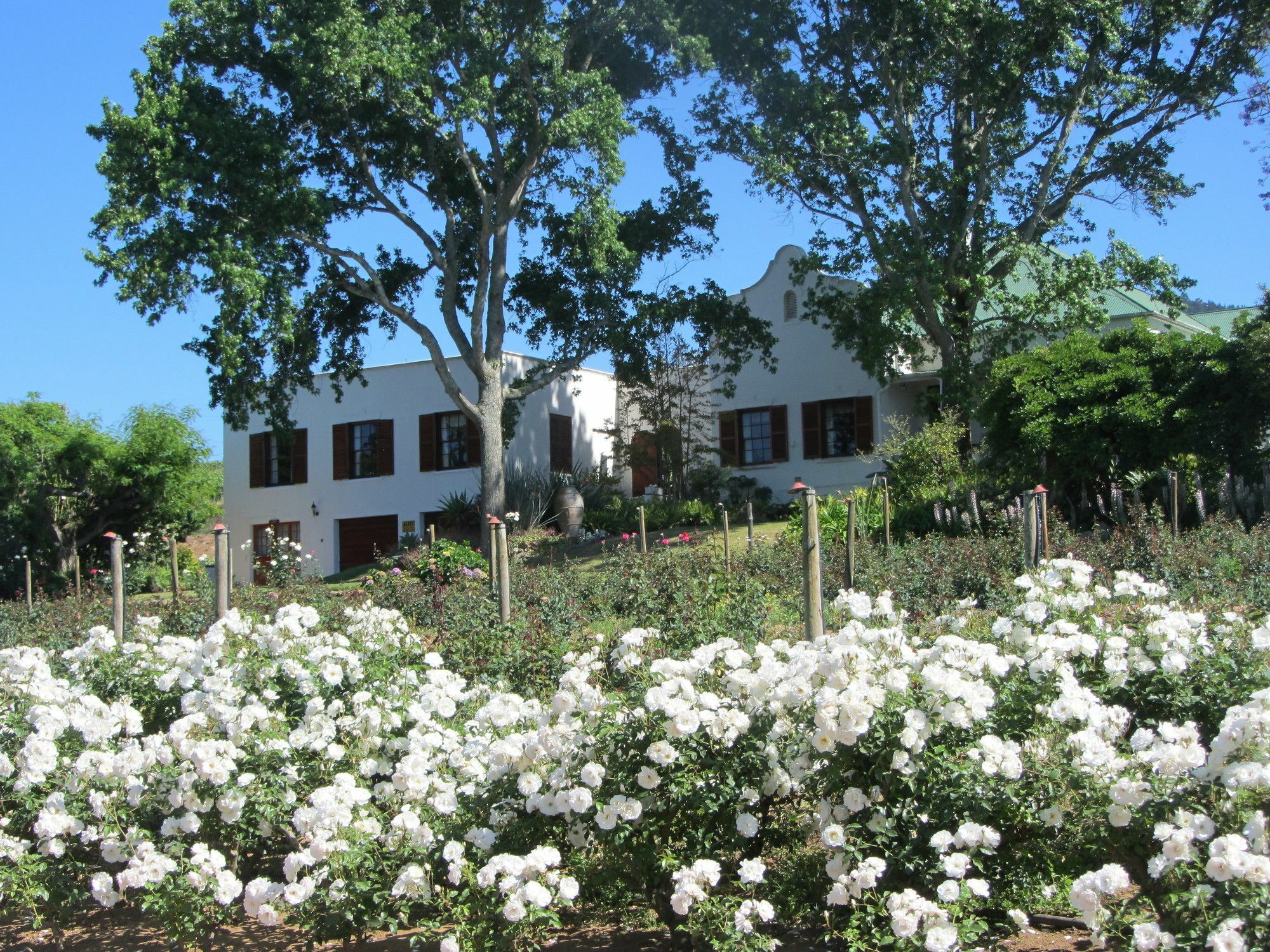 Aan-Den-Weg Stellenbosch Exterior foto