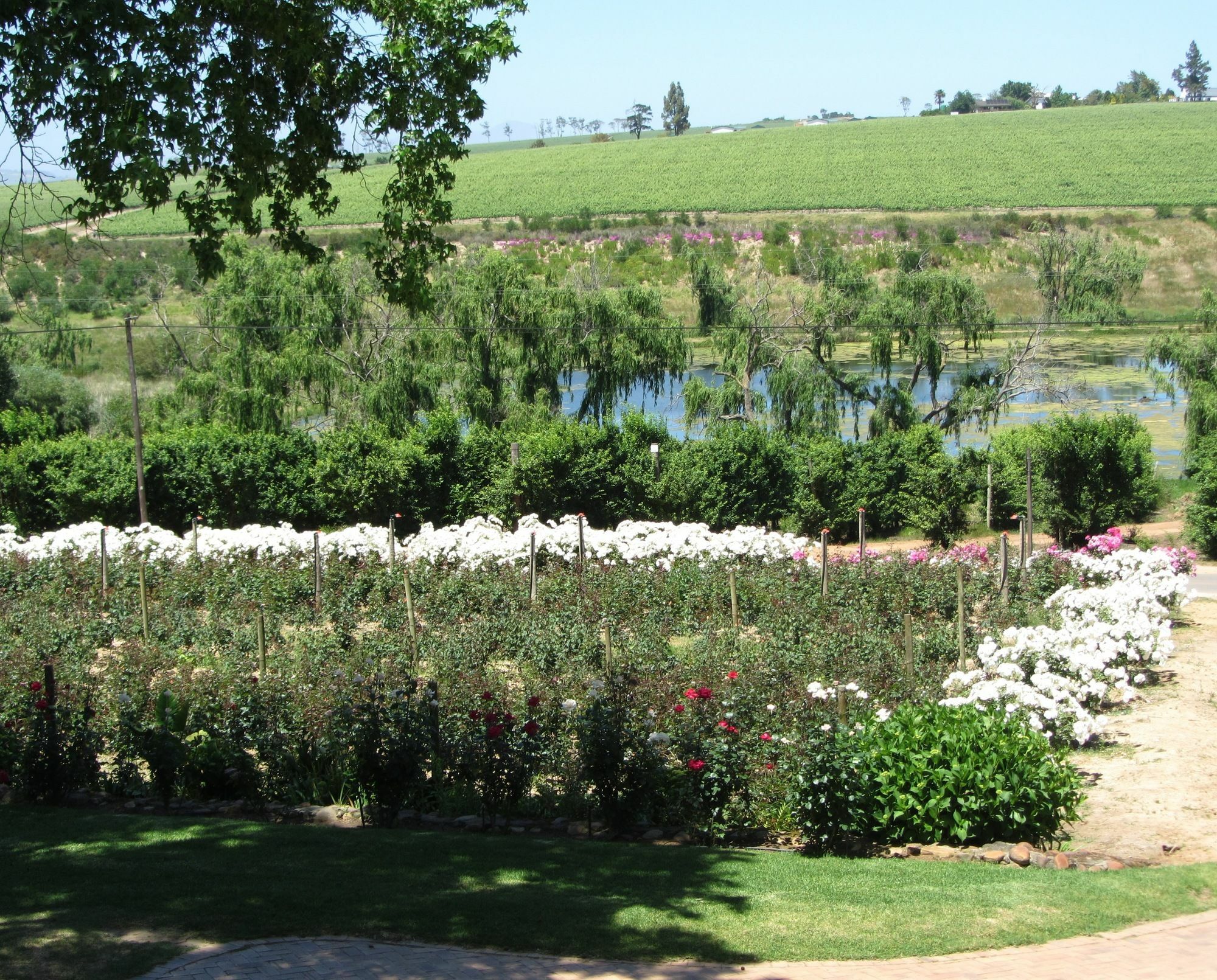 Aan-Den-Weg Stellenbosch Exterior foto